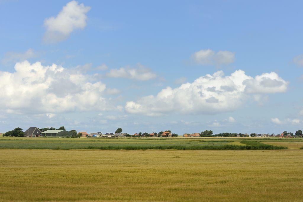 Beach-Dijkvilla Seaview Horizons Makkum Zimmer foto